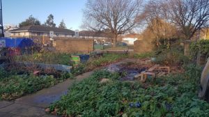 Harrow-Road Eco Community Garden wants Corporate Work Days